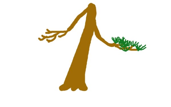 Ast_Schema.jpg