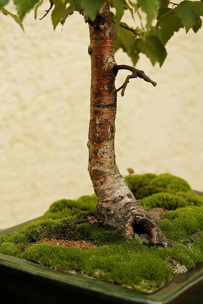 comp22_MG_3417.jpg