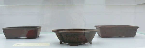 P1090110k.JPG