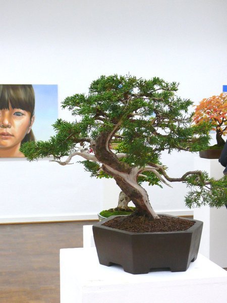 Chinawacholder