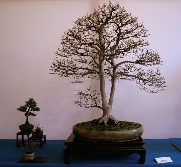 comp_IMG_0030.jpg