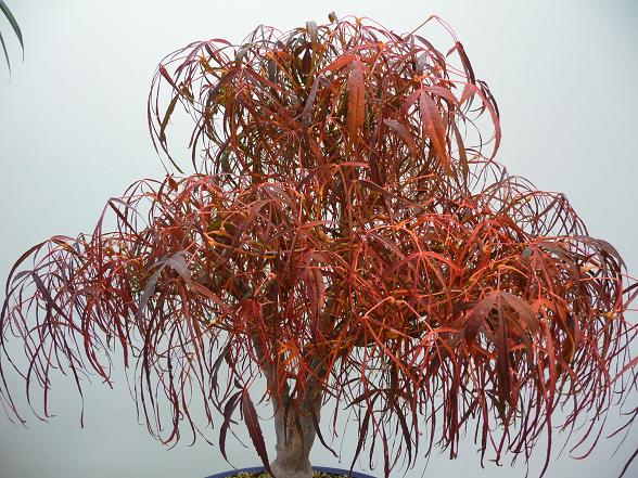 10 2013 008.jpg