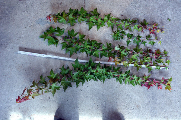 2013-10-4.jpg