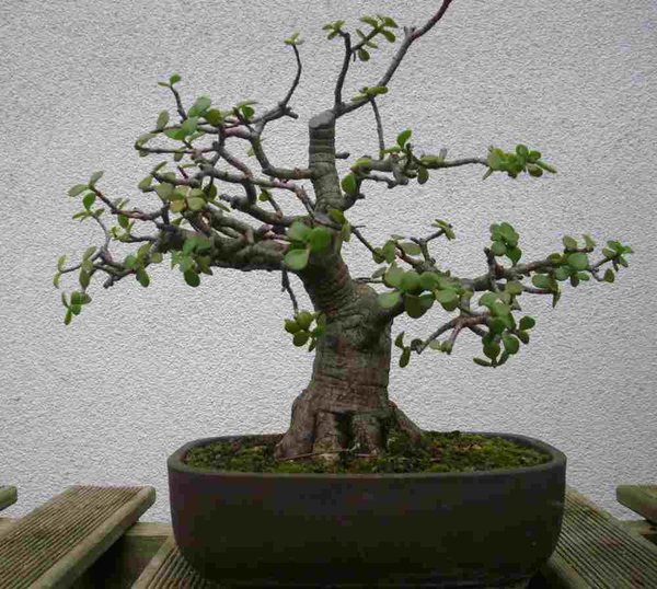 andere seite