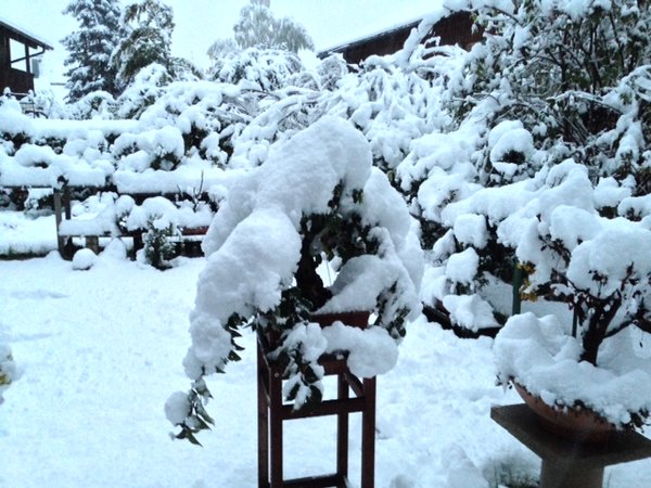 Schnee.jpeg