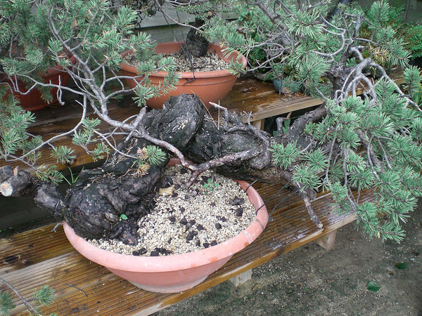 2011-03.jpg