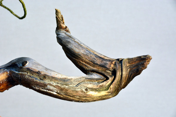 2013-10.jpg