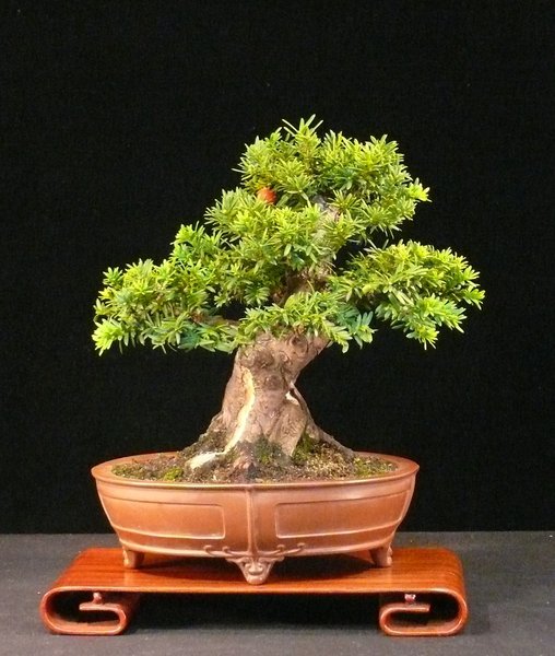 P1090265k.JPG