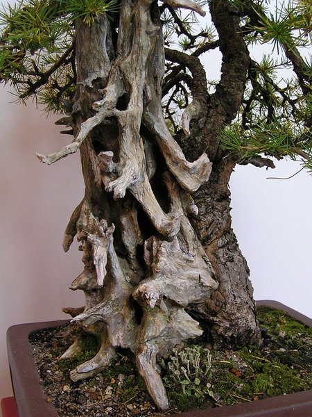 Detailaufnahme