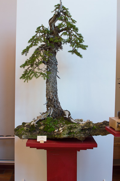 Ak Thannhausen 20137.jpg