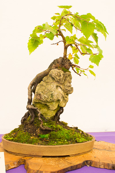 Ak Thannhausen 201364.jpg
