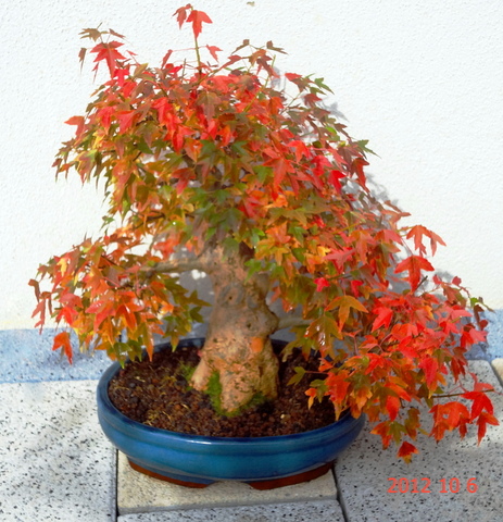 DSC00053.JPG