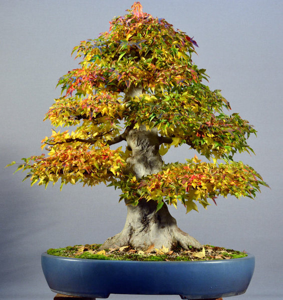 2013-10-6.jpg