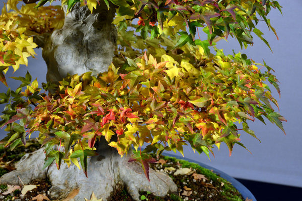 2013-10-7.jpg