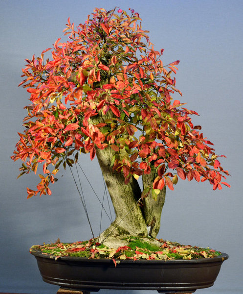 2013-10-2.jpg