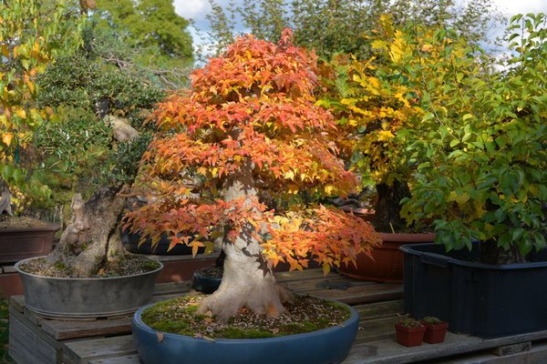 2013-10-8.jpg