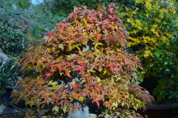 2013-10-13.jpg