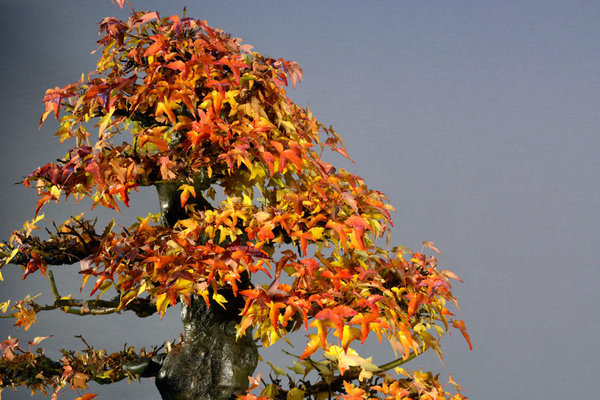 2013-10-15.jpg