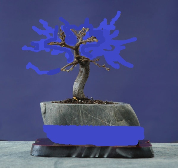 Caprinus.jpg