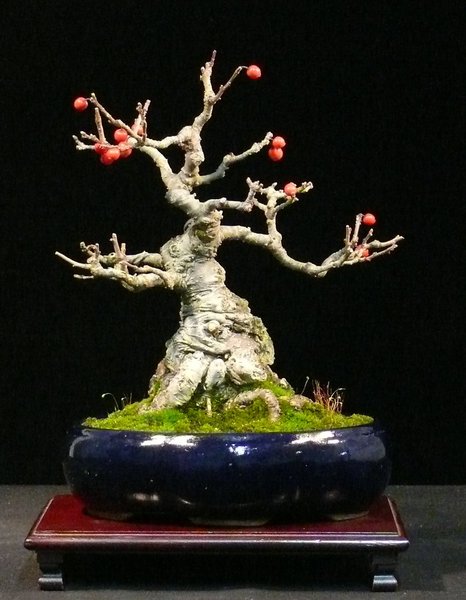 P1090375k.JPG