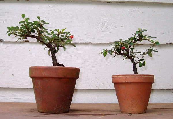 Oktober 2009