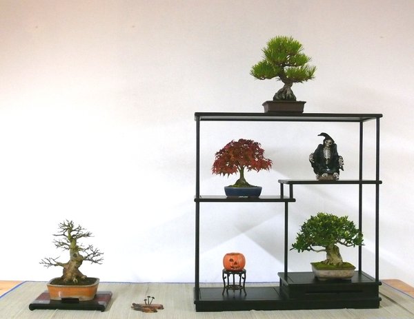 P1090395k.JPG