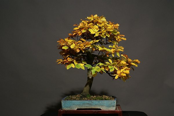 0186 25.10.13.jpg