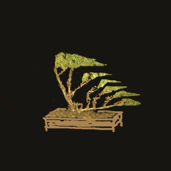 Virtual Pinus.jpg