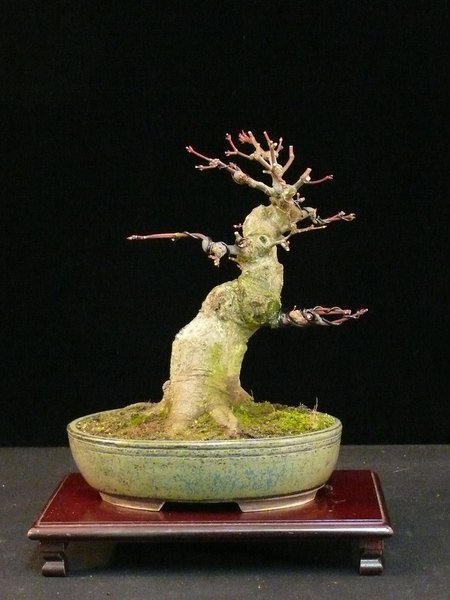 P1090478k.JPG