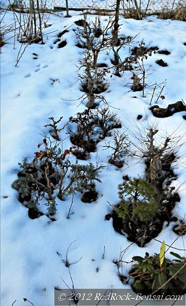 4blog-2012-02-18_16-18-01_hdr.jpg