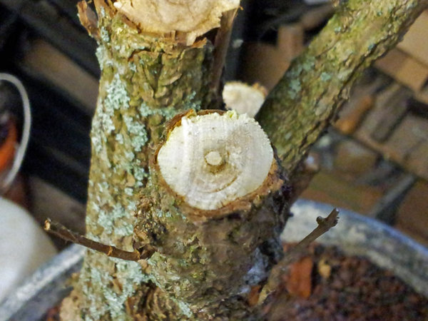 20131106_144721.jpg