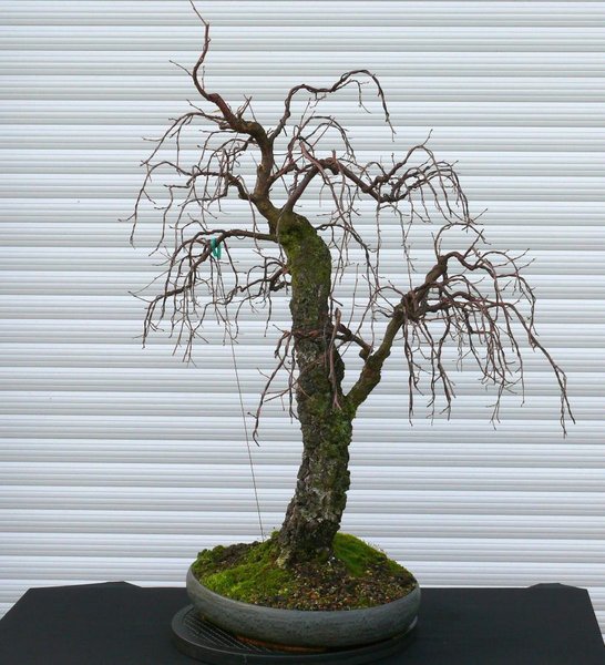 2013-11-07.jpg