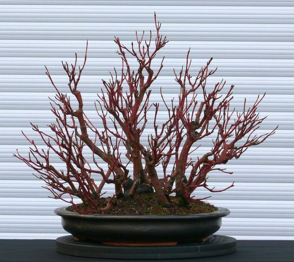 2013-11-07.jpg