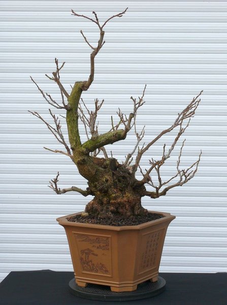 2013-11-07.jpg