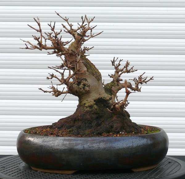 2013-11-07.jpg