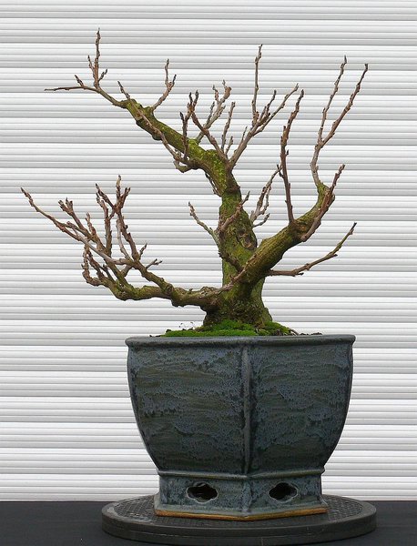 2013-11-07.jpg
