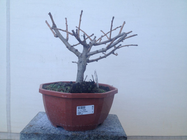 Ansicht 01