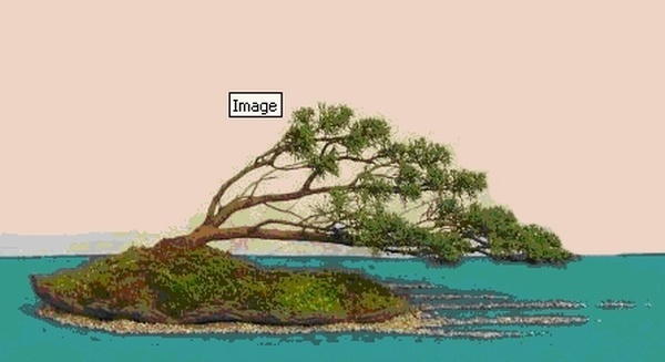 Web Virtual.jpg