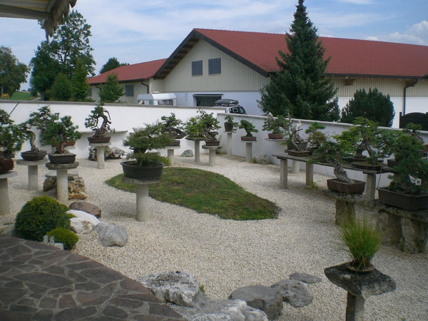 Garten.jpg