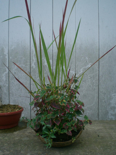 Beisteller.jpg