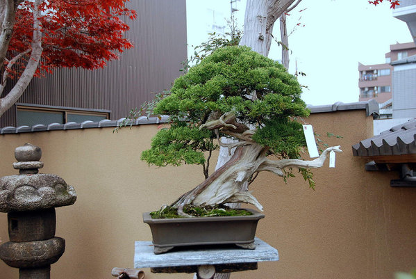 2012-11.jpg