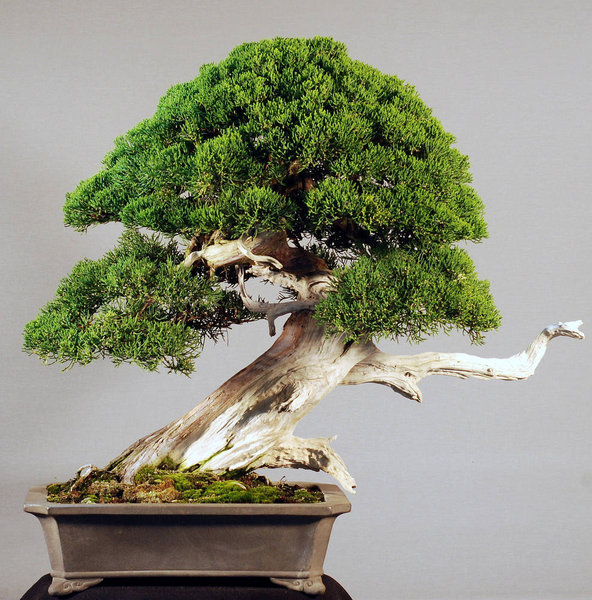 2013-06a.jpg