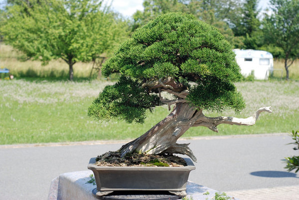 2013-07e.jpg