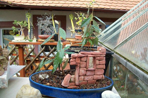 Frühjahr 2009