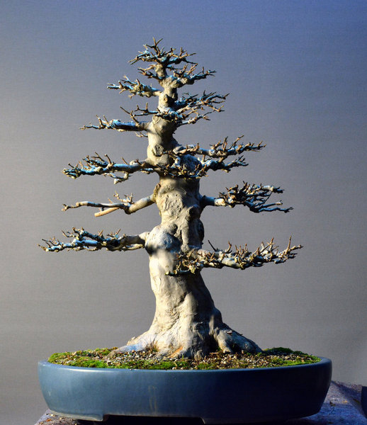 2013-11l.jpg