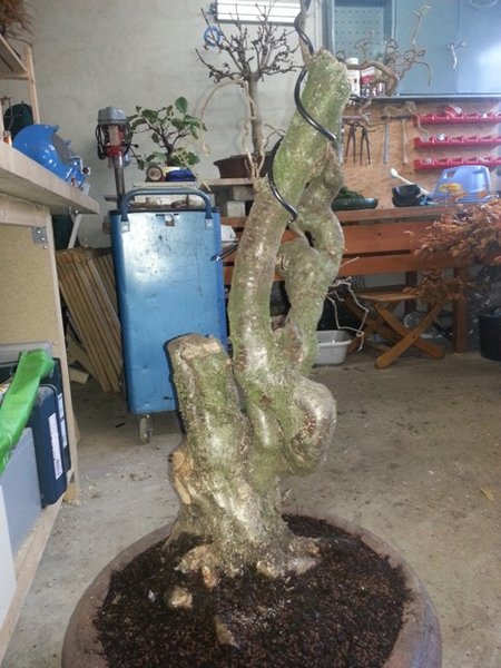 20131125_154450.jpg