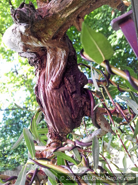 4blog-2013-07-13_18-27-30.jpg