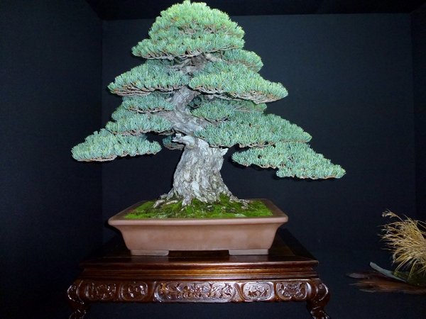 P1020009 (640x480).jpg