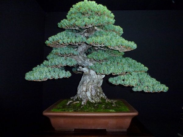 P1010991 (640x480).jpg
