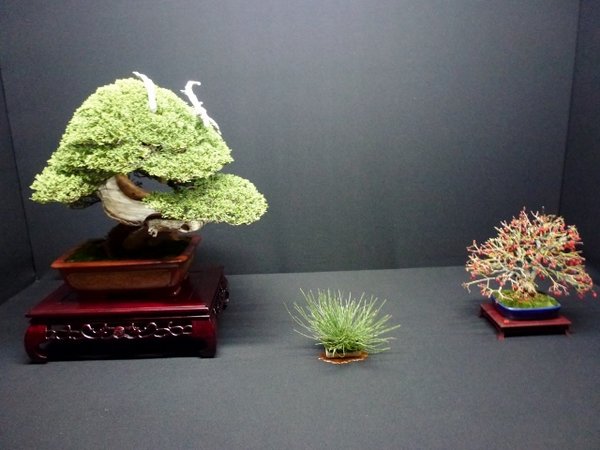 P1010913.jpg